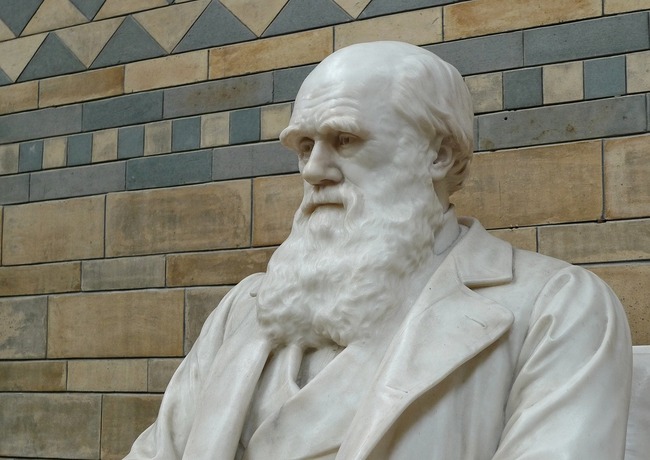 statuia lui charles darwin