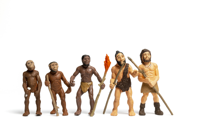figurine cu evolutia omului