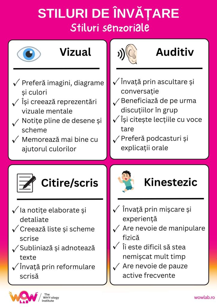 infografic cu stiluri de invatare senzoriale