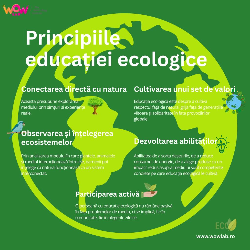 vizual cu principiile educatiei ecologice