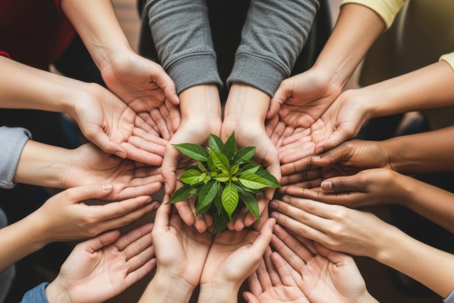 maini care sustin o planta verde